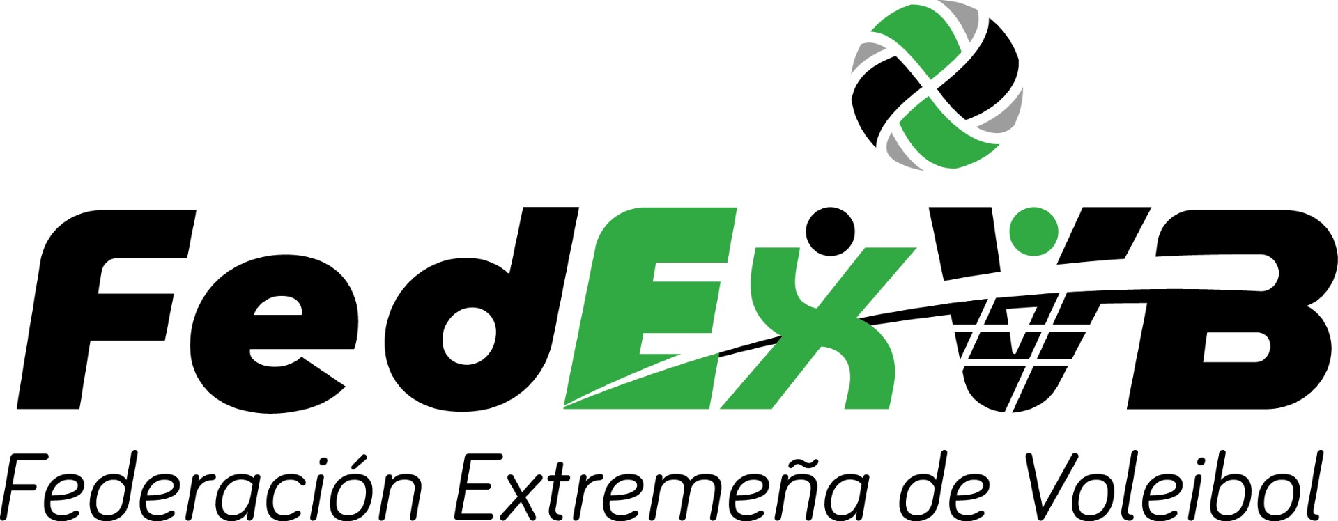 Federación Extremeña Voleibol